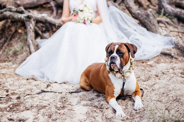 5 ways to get your pooch involved in your wedding