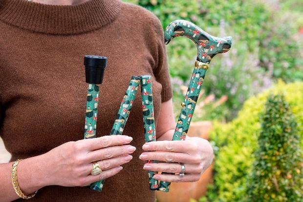 New designs from classic canes