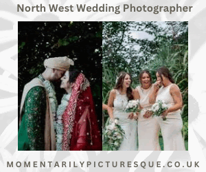 Momentarily Picturesque by Abigail Nevitt
